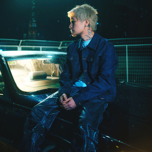 一本到在线高清观看
