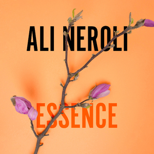 一本到在线高清观看
