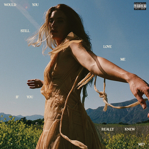 一本到在线高清观看
